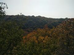 -大青沟风景区