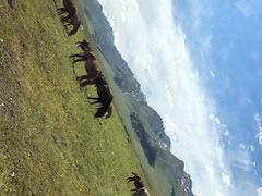 -新疆那拉提国家旅游度假区