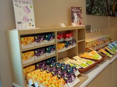 -奈雪的茶(金凤万达PRO店)