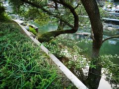 -藏龙百瀑风景区