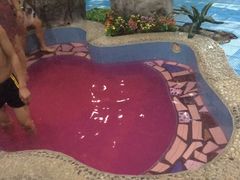 -兴芮温泉度假区