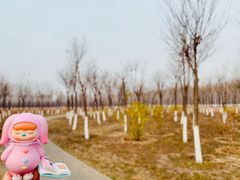 -东郊湿地公园