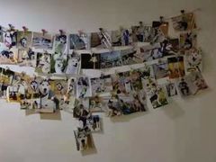 -Husky Go! 哈士奇体验馆·宠物咖啡厅狗咖