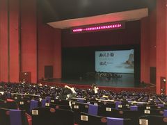 -合肥大剧院