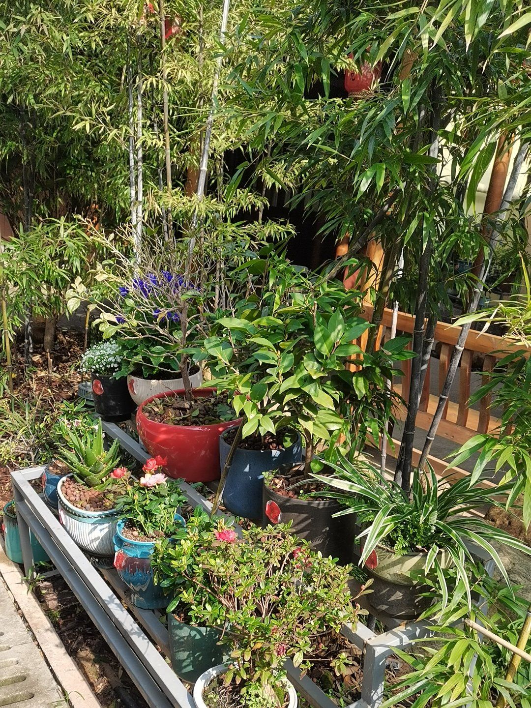 吴师兄长沙地标牛肉院子的停车场就在店门口