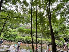 -重庆彩云湖湿地公园