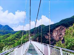 -洛阳白云山景区