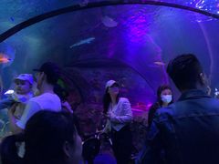 -沈阳海洋探索中心