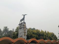 -成都动物园