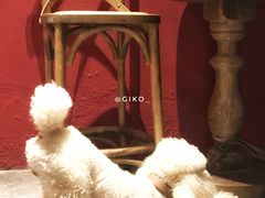 -静香HOUSE·全时段融合餐厅(七星欢乐颂店)