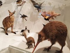 -墨尔本博物馆(Melbourne Museum)