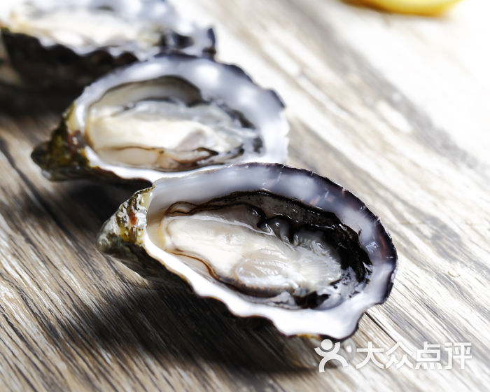 进口生蚝