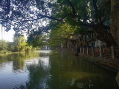 -小洲村