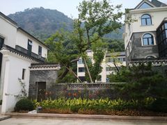 -湘湖金融镇
