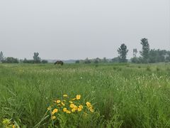 -兴安湖生态运动公园