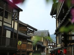 -南山植物园
