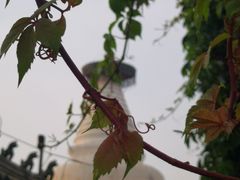 -老北京风情街