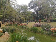 -人民公园(罗湖区)