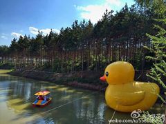 北纬44度·金珠花海景区-北纬44度·金珠花海休闲农业旅游景区