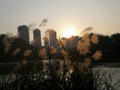 -重庆彩云湖湿地公园