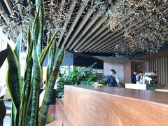 -Seesaw Coffee(朝阳大悦城店)