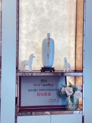 -茜尔维亚修身连锁(庆春银泰店)