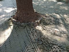 -北寺塔