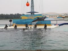 -秦皇岛乐岛海洋王国