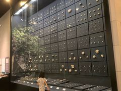 -北京周口店北京人遗址博物馆