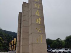 -铁山坪森林公园