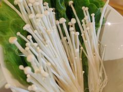 金针菇-傣妹火锅(四川北路店)