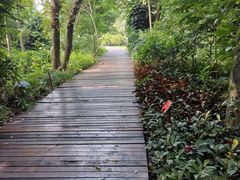 -广西壮族自治区药用植物园