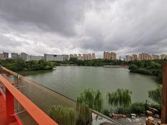 -青枫公园