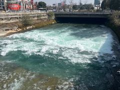 -老号尤兔头(幸福店)