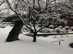 -爱上层楼咖啡馆(为公桥店)