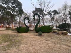 -合肥滨湖国家森林公园
