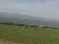 -新疆那拉提国家旅游度假区