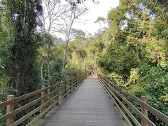 -野象谷景区