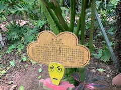 -呀路古热带植物园