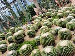 -华南国家植物园-售票处