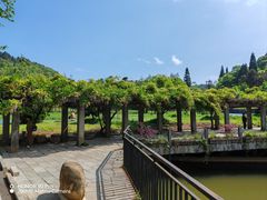 -贵州省植物园
