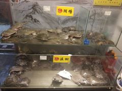 -鳖皇甲鱼餐厅(平阳路店)