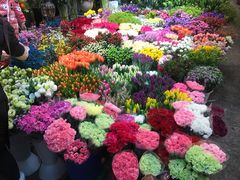 -双季花艺园艺市场(浦东店)