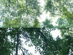 -杭州植物园
