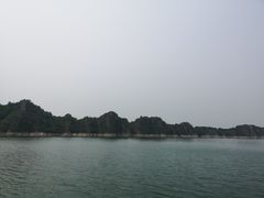 -望湖烤鱼