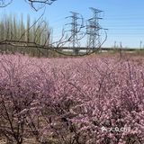 公园人很多基本都是扎营的尤其一进公园不远处人挺多放风