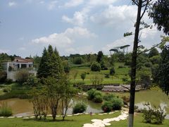 -铁山坪森林公园