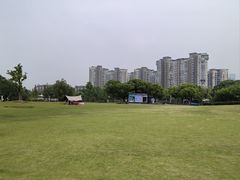 -新江湾城公园