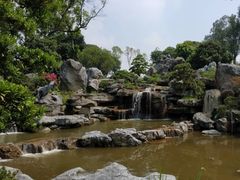 -东莞植物园