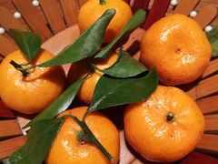 -京尊烤鸭店JINGZUN(春秀路店)
